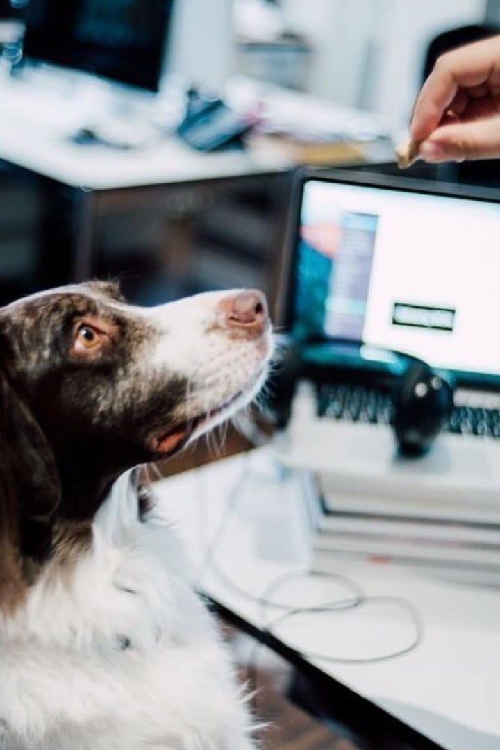 bundb_jobs_balu-hoch