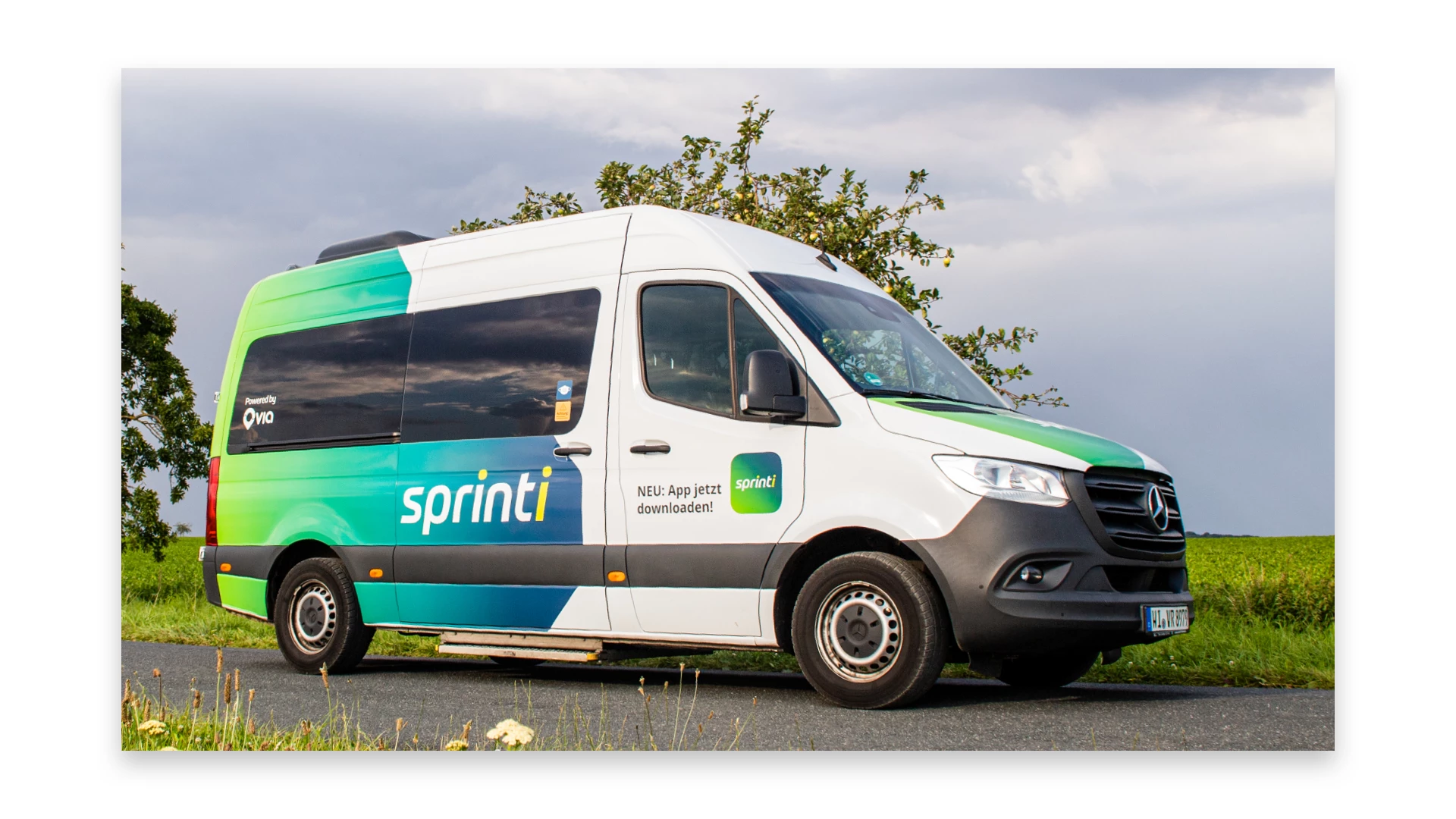 Image without a specific alt name