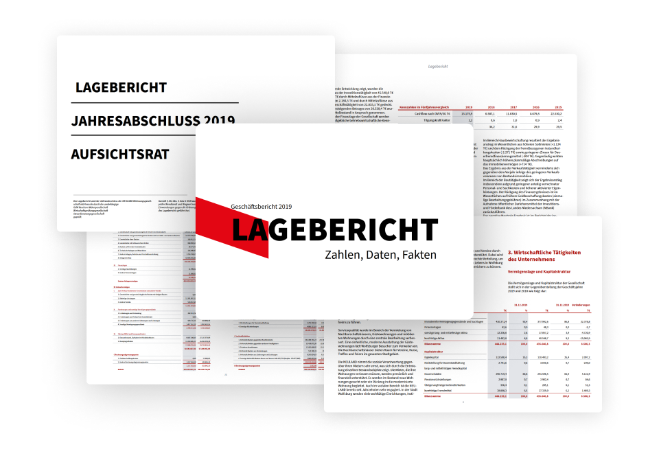 neuland-lagebericht neuland-lagebericht