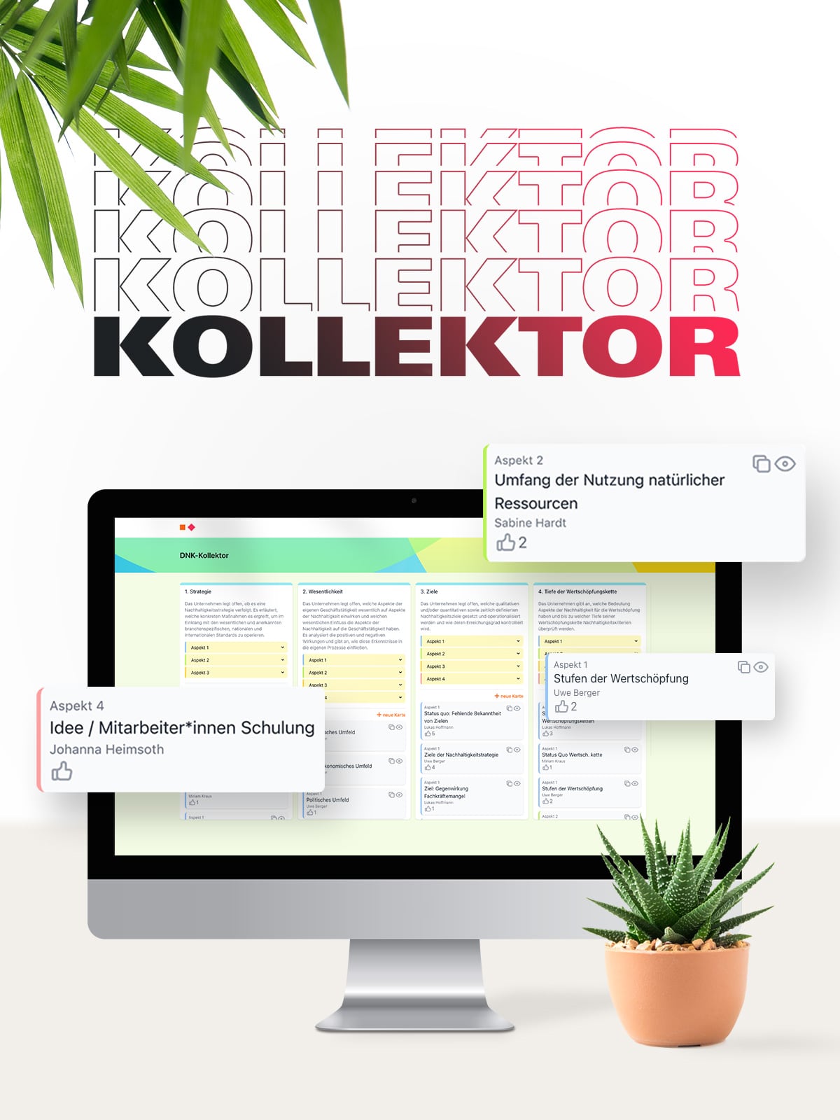 DNK 25 DNK-Kollektor