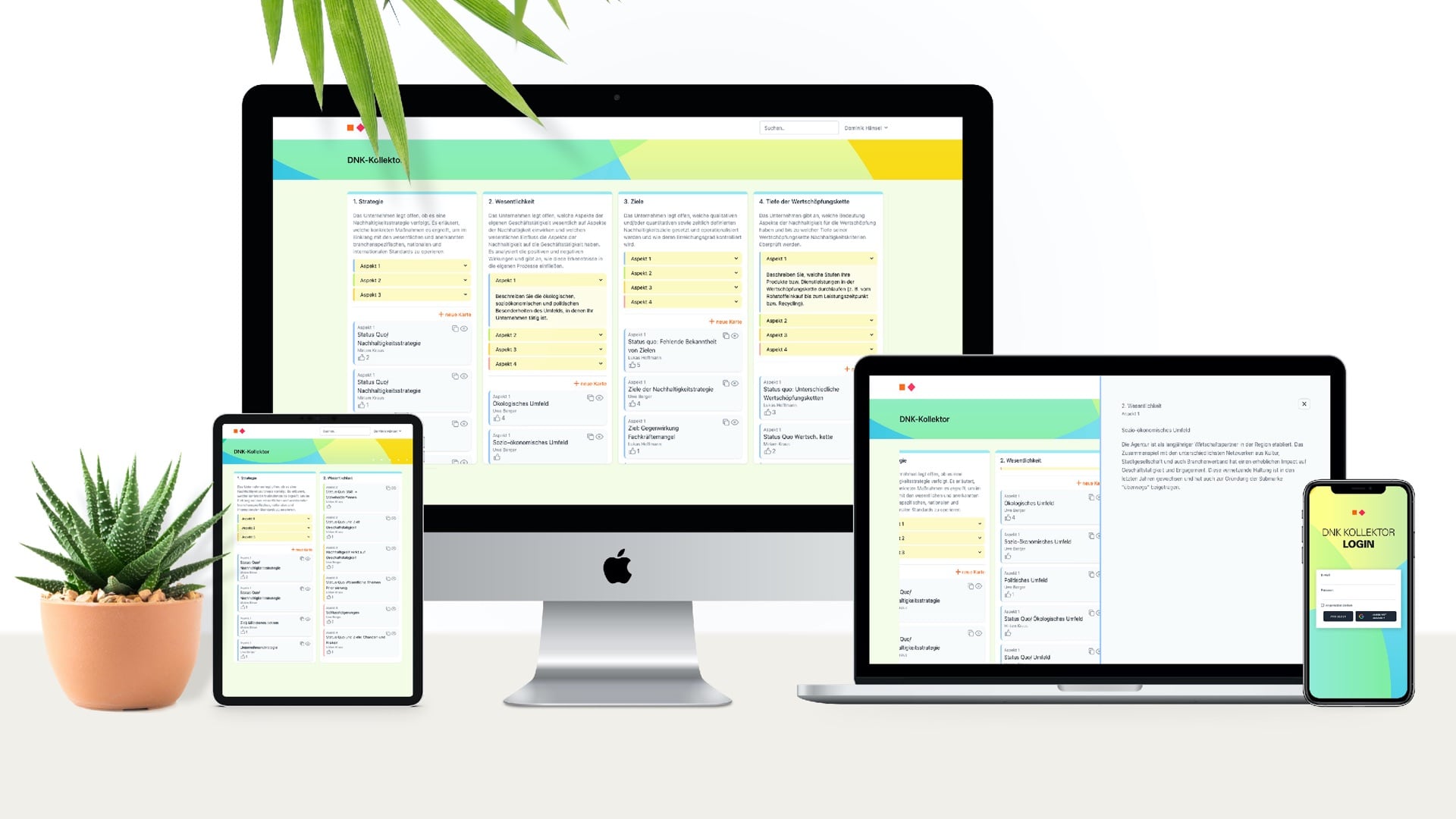DNK 25 DNK-Kollektor Mockup